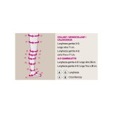 Medi - Duomed - Calze compressive medicali classe 1, punta aperta - AT Collant