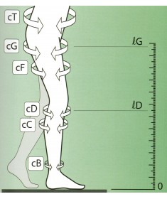 Ro+Ten - Linea Electa - Calze compressive medicali classe 2, punta chiusa - AT Collant